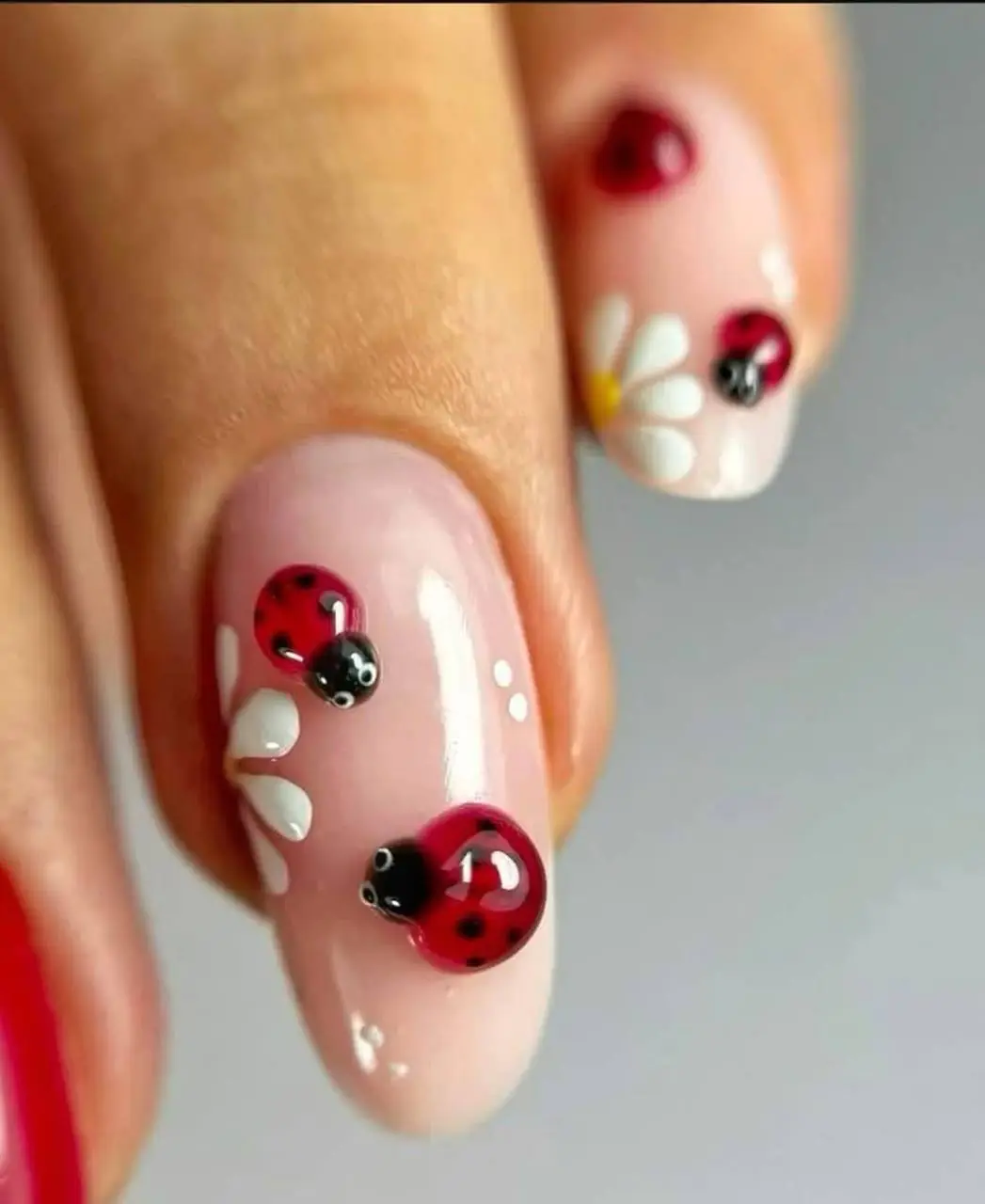 photo_2_2025-07-25_08-53-49